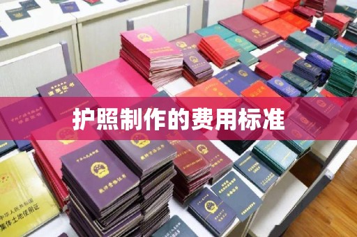 沁县护照制作的费用标准