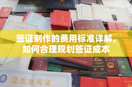 沁县签证制作的费用标准详解，如何合理规划签证成本